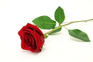 Margaret "Gerry" Geraldine O'Neill